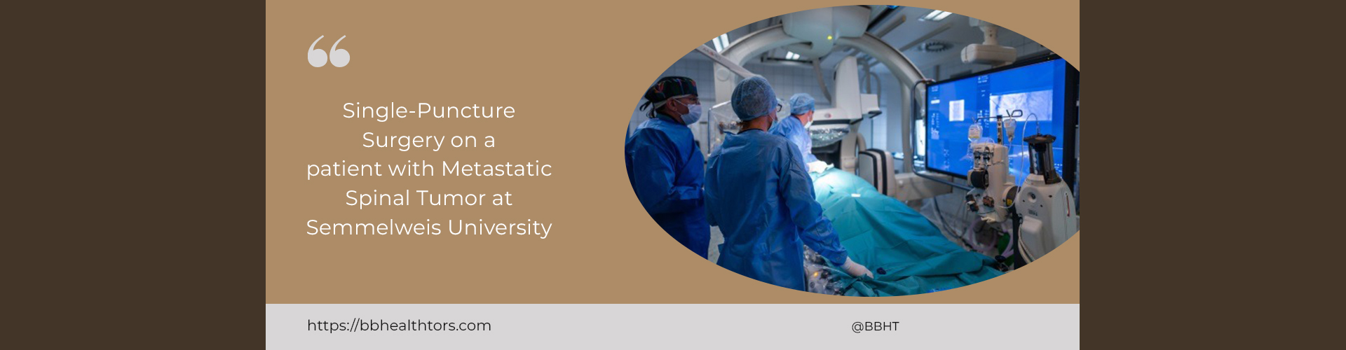 Semmelweis University 2