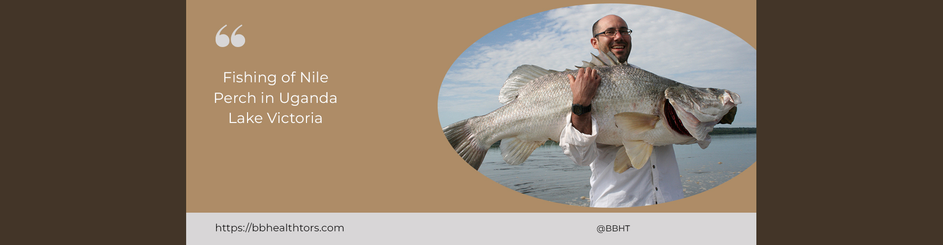 Uganda Nile Perch